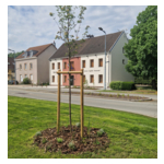 Mairie de Sainte-Suzanne
