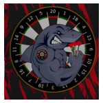 DARTS CLUB 25