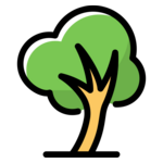 Eco6tèm#25