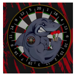 DARTS CLUB 25