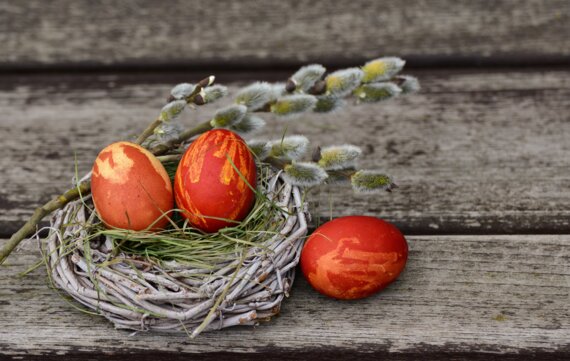 123 Nature atelier enfants : Nid de pâques