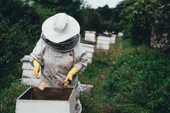 123 Nature conférence : Abeilles et vergers