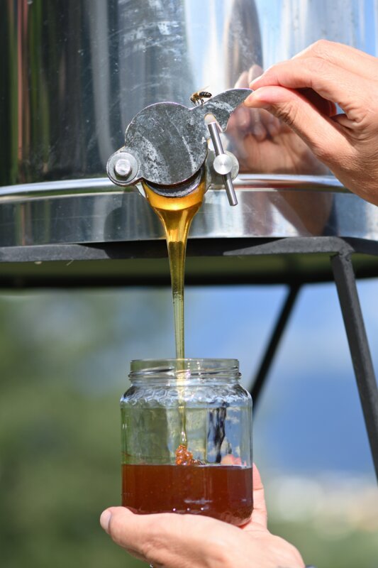 123 Nature atelier : Extraction de miel