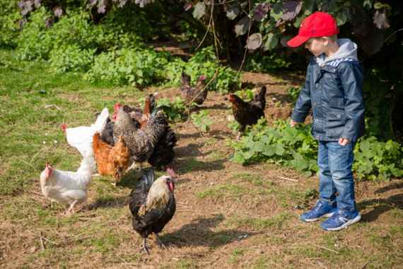 [COMPLET] 123 Nature visite : Balade à la ferme