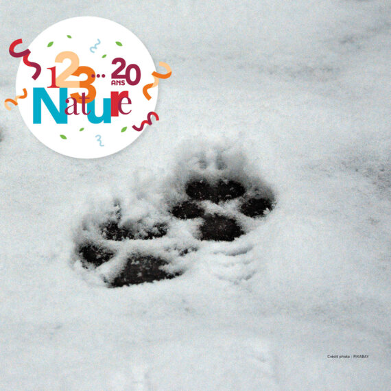 123 Nature : Traces et indices