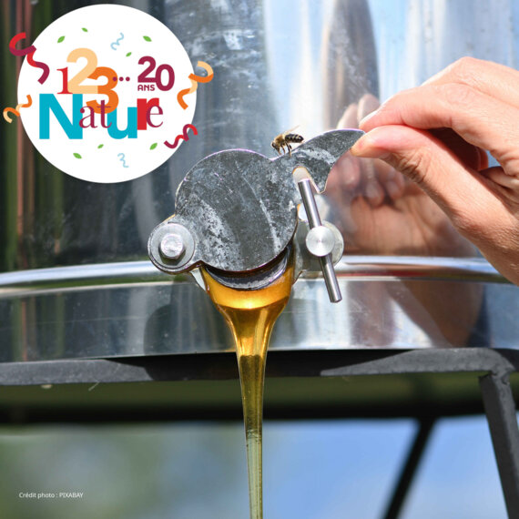 123 Nature : Extraction de miel