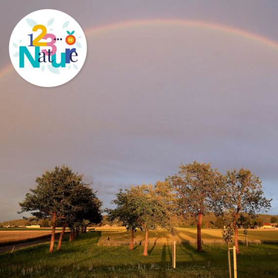 La lumière de l'arc-en-ciel et des étoiles
