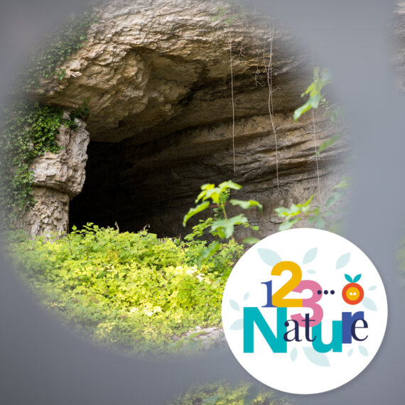 Spéléologie : la découverte du karst