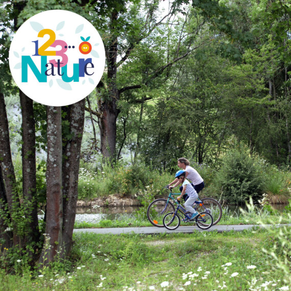 Les arbres remarquables