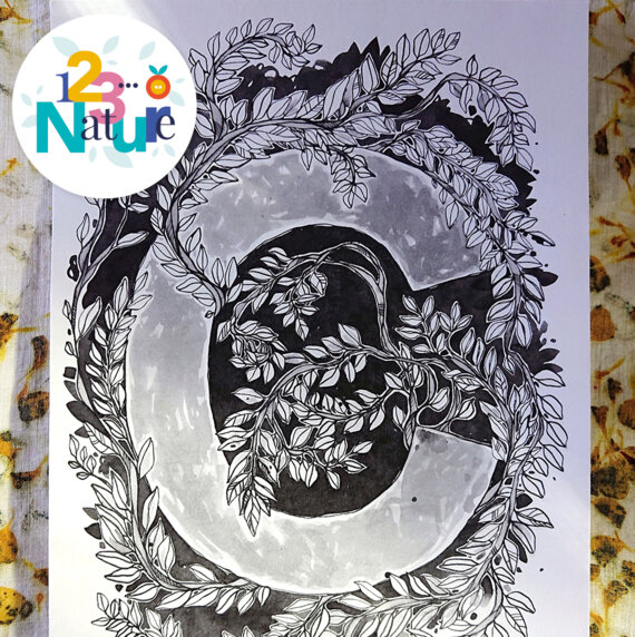 Découverte des encres ferrogalliques