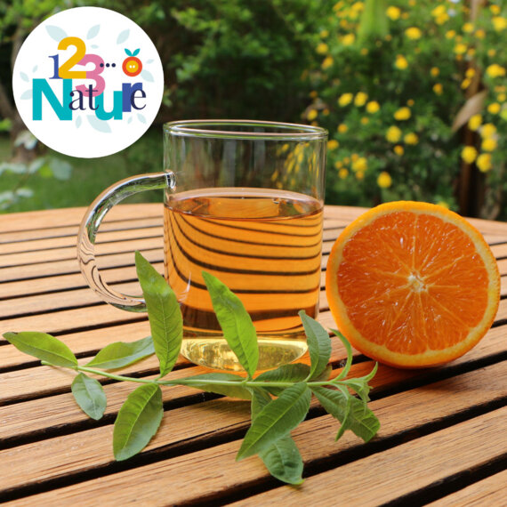 Tisane « low-tech »