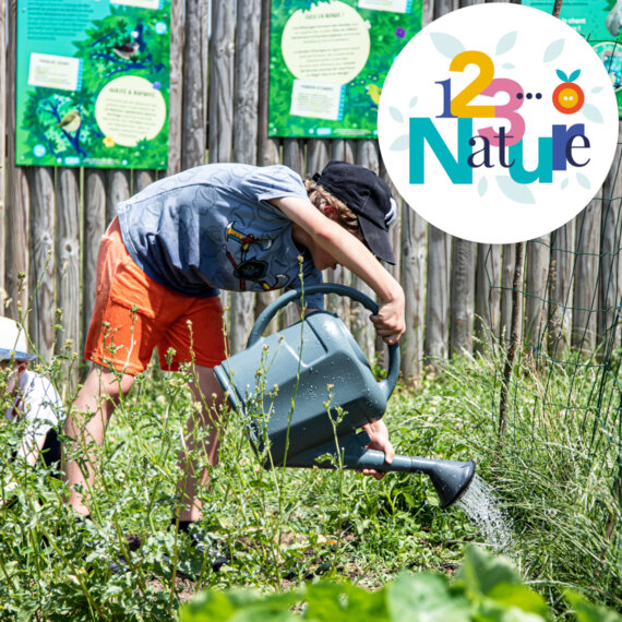 Un jardin économe en eau