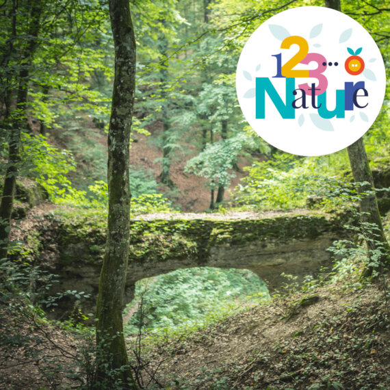 Stage photo En forêt