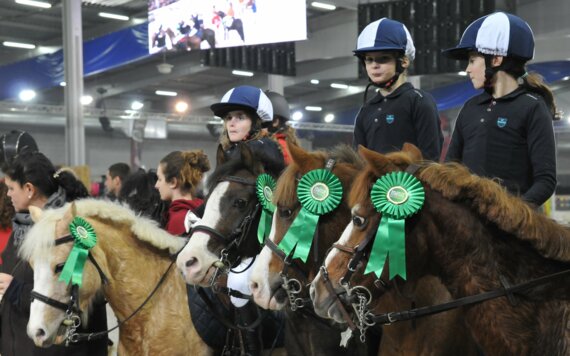 Cours d'équitation enfants