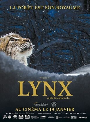 Projection en plein air du film LYNX