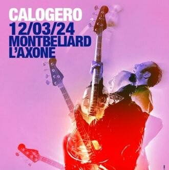 Concert de Calogero