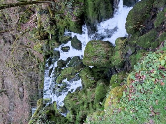 La Source de la Doue