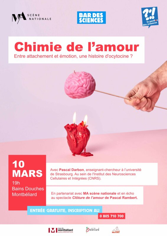 Bar des sciences "Chimie de l'amour"