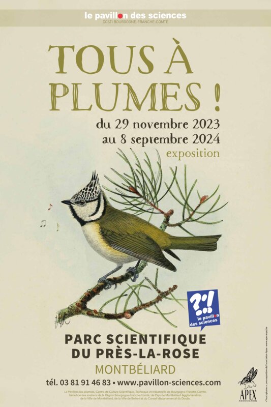 Tous à plumes ! Le jardin aux oiseaux