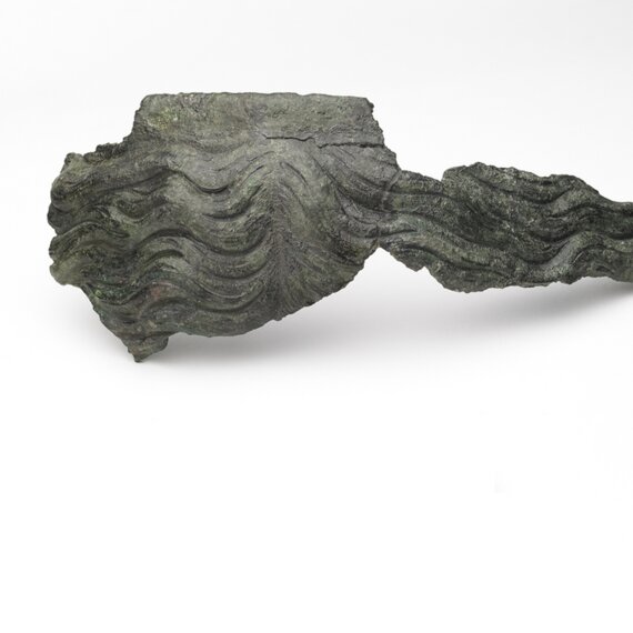 Journées européennes de l'archéologie