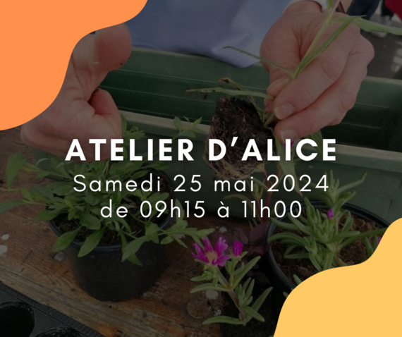 Atelier d'Alice - sur inscription