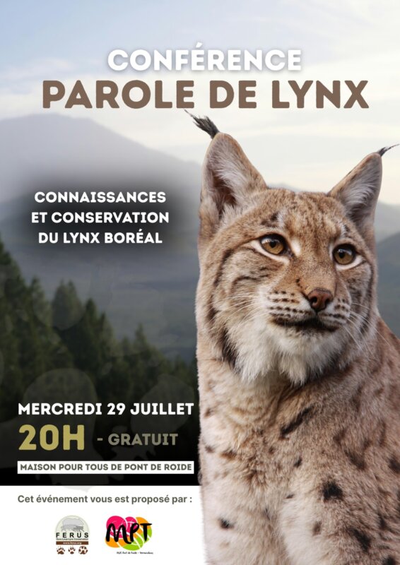 Conférence "Parole de lynx"