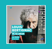 Concert : Louis Bertignac