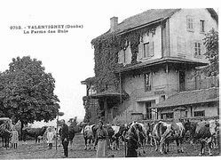 Journée Européennes du Patrimoine