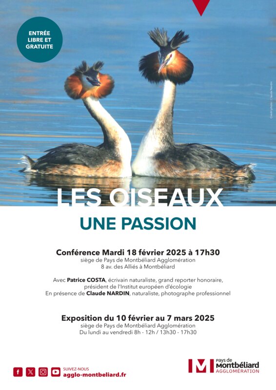 Exposition " Les oiseaux une passion "