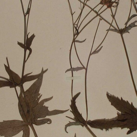 Une heure, une œuvre