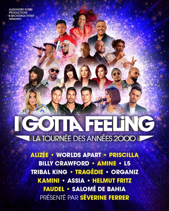 Concert I Gotta Feeling