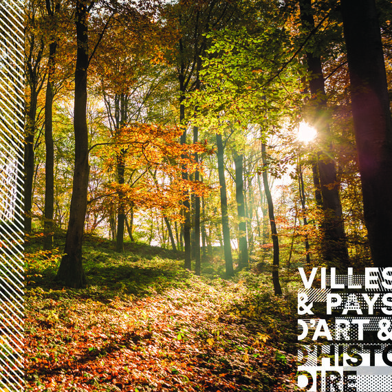 Les abris sous roche de Rochedane