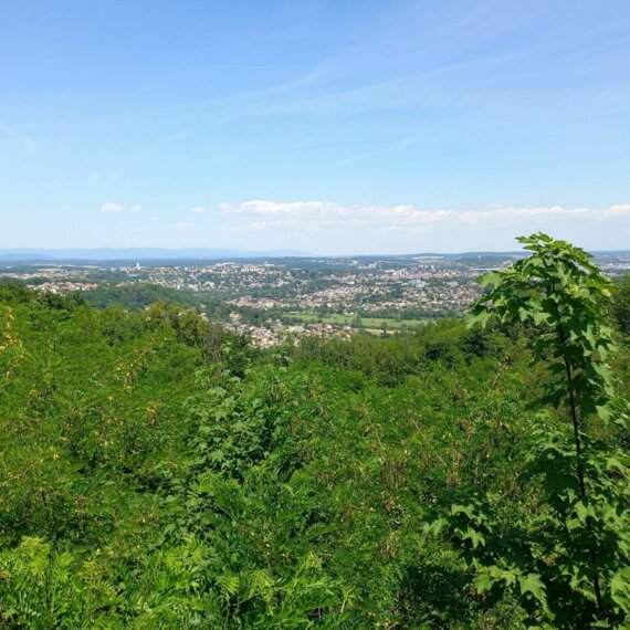 Circuit pédestre : le tour du mont-bart