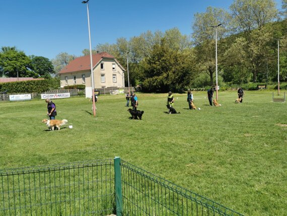 Concours Obéissance