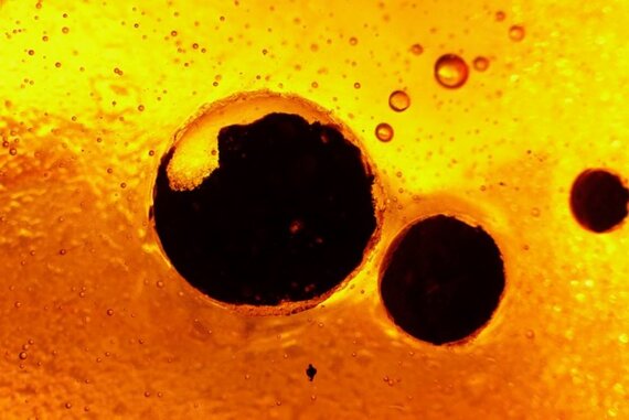 EXpo photo Claude NARDIN Macro des vitraux