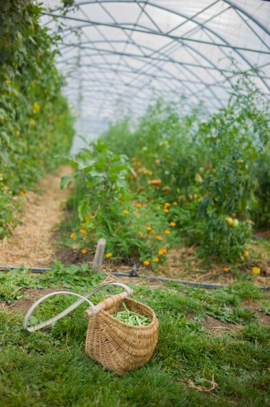 [COMPLET] 123 Nature visite : Les échos jardins