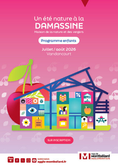 Oiseaux et compagnie (8-12 ans)