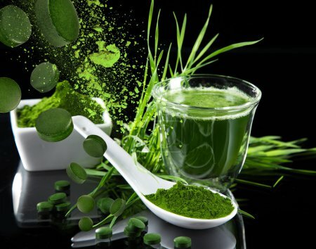 [COMPLET] 123 Nature : Production de spiruline