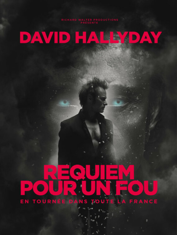 Concert de David Hallyday