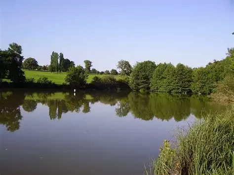 INSTANTANÉS DE L'ÉTÉ