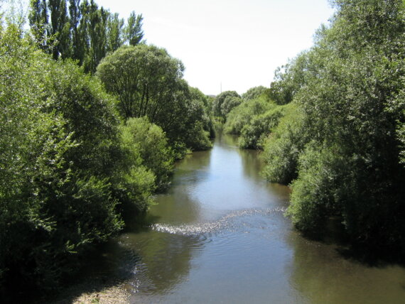 La Savoureuse