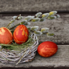 123 Nature atelier enfants : Nid de pâques