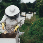 123 Nature conférence : Abeilles et vergers