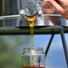 123 Nature atelier : Extraction de miel