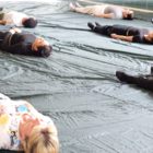 Fissures Poétiques - projet participatif / danse