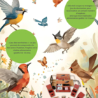 La Malle du jeu d'oiseaux