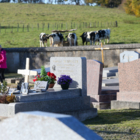 LE CIMETIÈRE DE MONTBÉLIARD