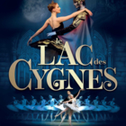 Spectacle Le lac des Cygnes