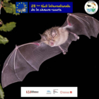 28ème Nuit Internationale de la chauve-souris