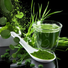 [COMPLET] 123 Nature : Production de spiruline